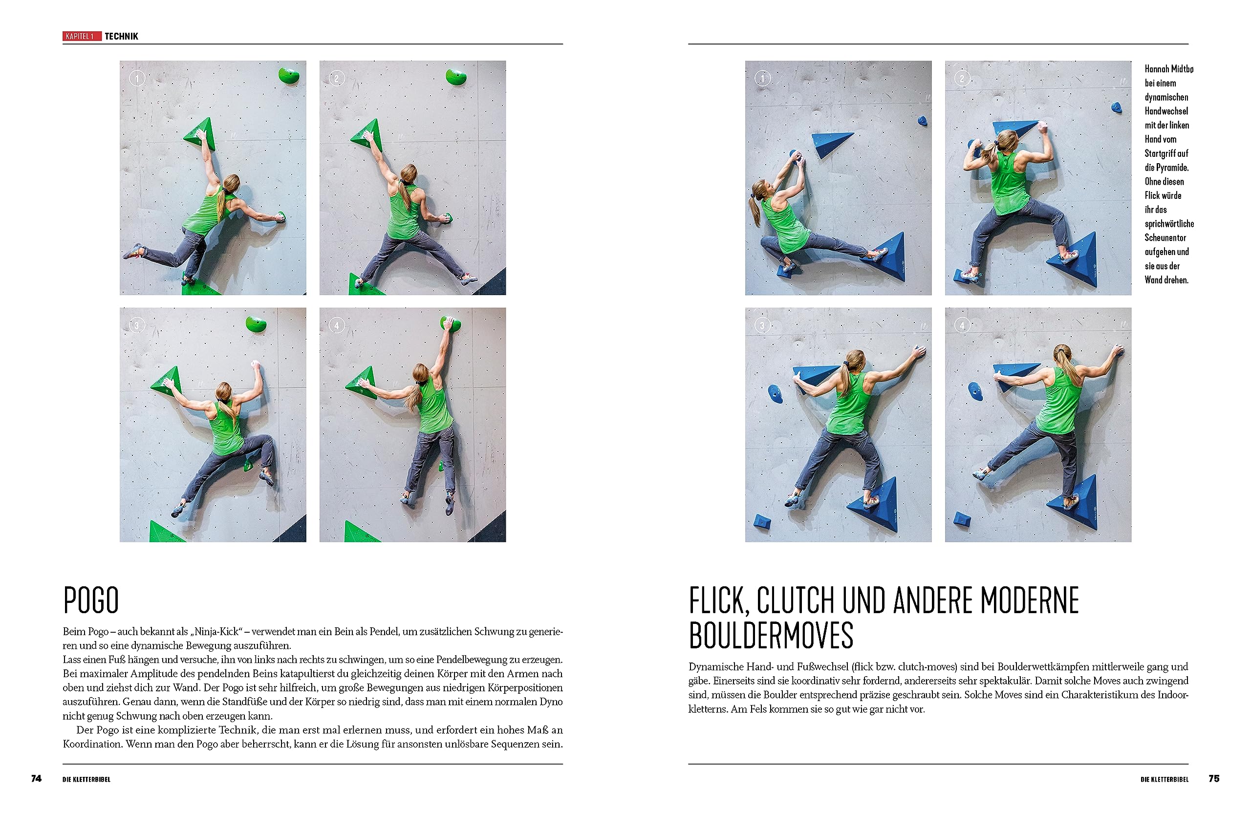 Die Kletterbibel: Technisches, physisches und mentales Training