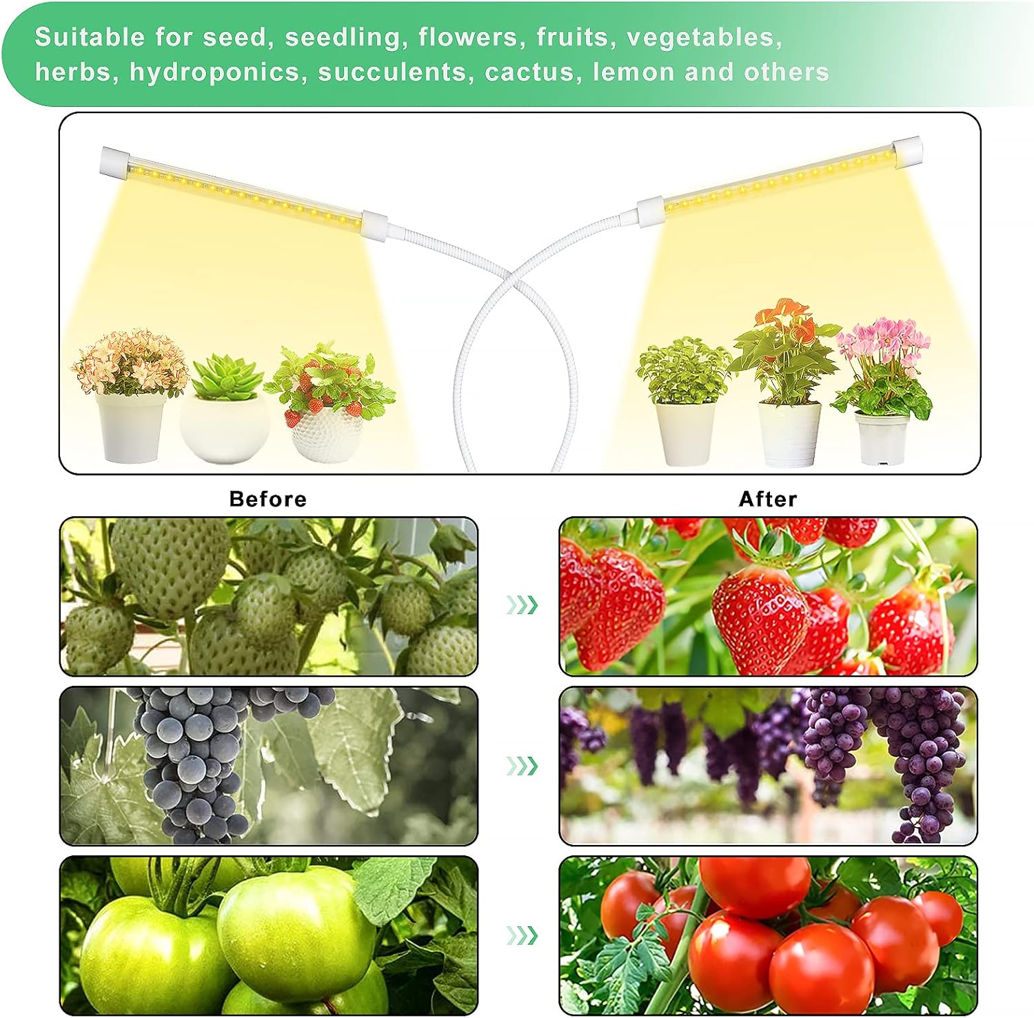 SUWITU Grow Lights for Indoor Plants, 40W Dual Head 96 LEDs Full Spectrum Plant Grow Light, 10 Dimming Level Plant Growing Lamp with Timer, Adjustable Gooseneck for Seedlings and Succulents : Patio, Lawn & Garden