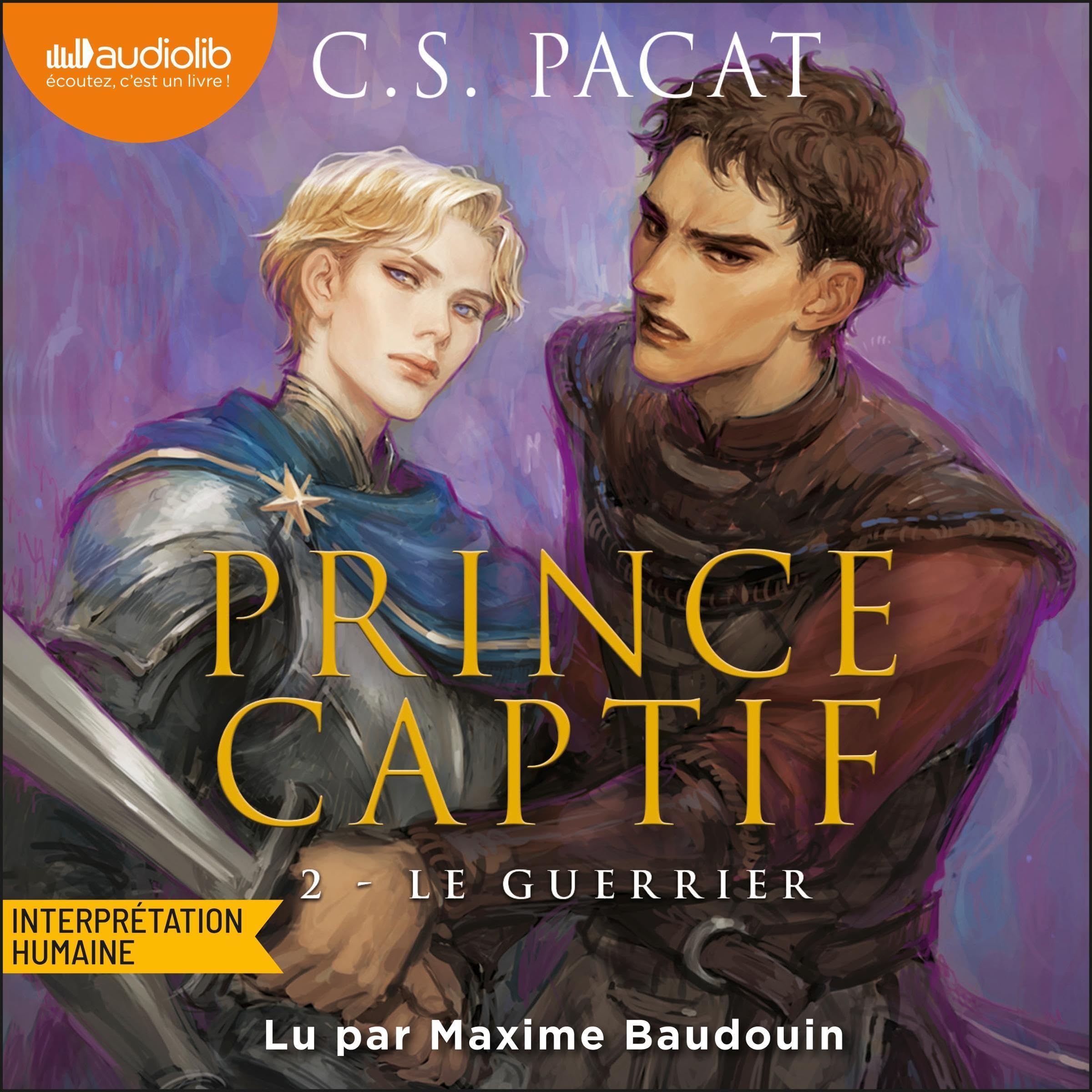 Cover art for Le Guerrier