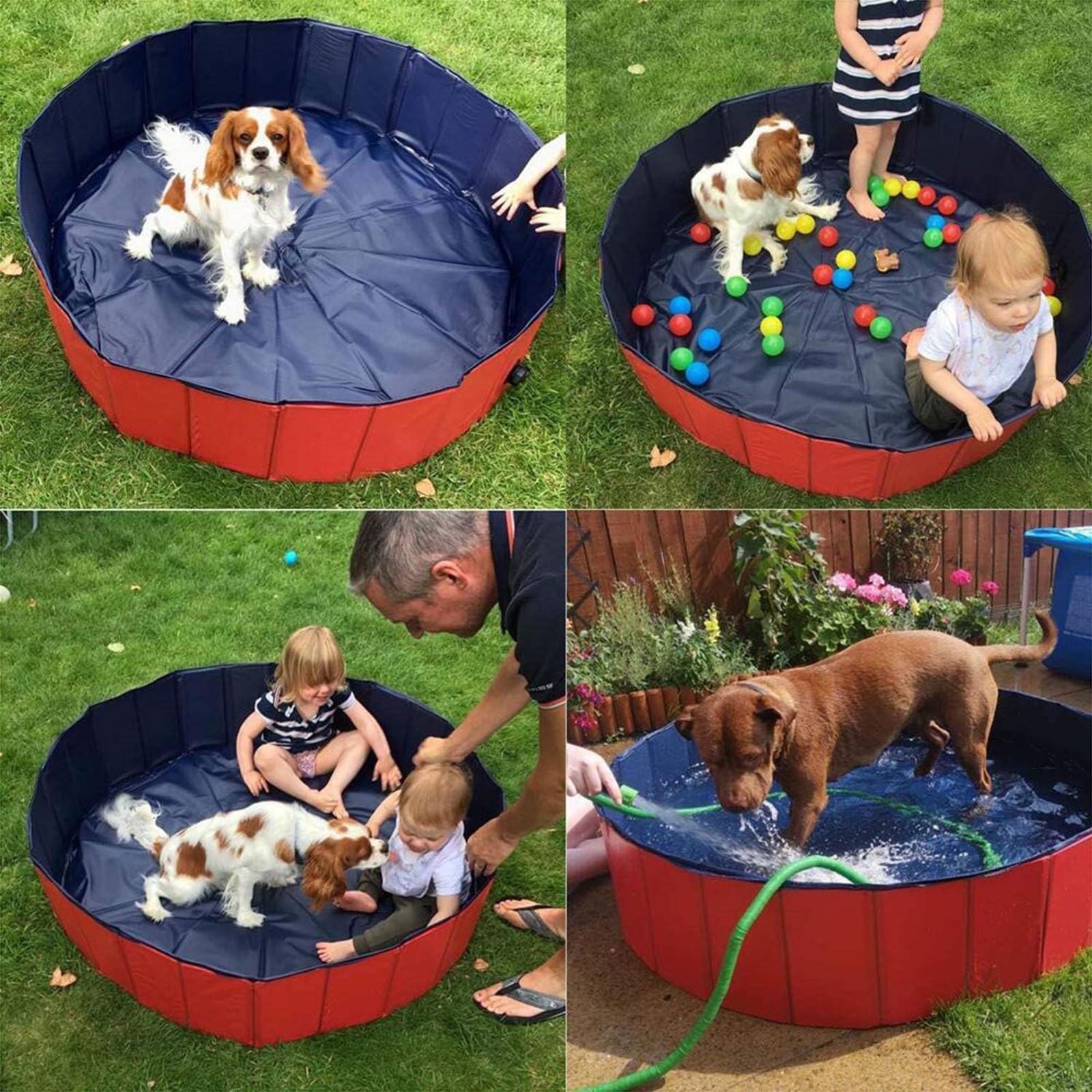 Caja plegable para partos y piscina para perros, piscina y bañera de plástico, para perros, piscina portátil para parto y baño (Rojo, 120 x 30 cm)