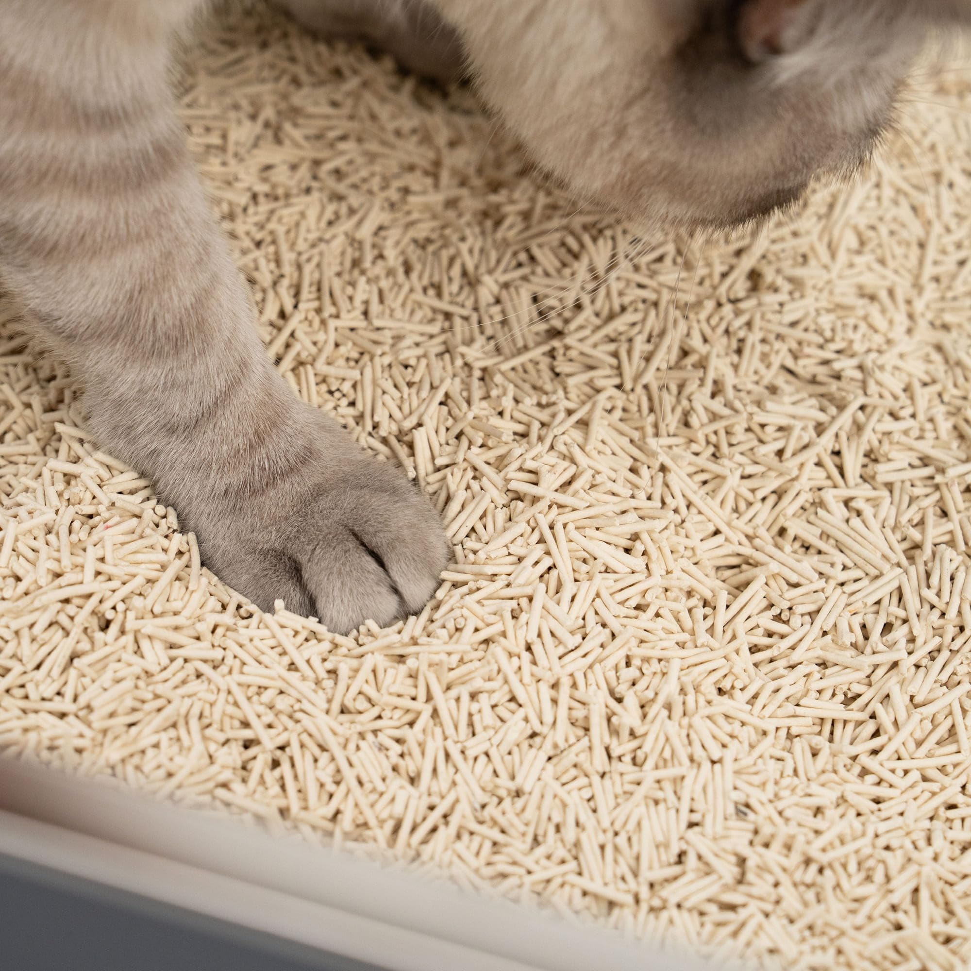 LucyBalu® TOFU Katzenstreu | Klumpendes Katzen Streu | Geruchsbindend und nachhaltig | 4er Set | 24 Liter | Geruchslos