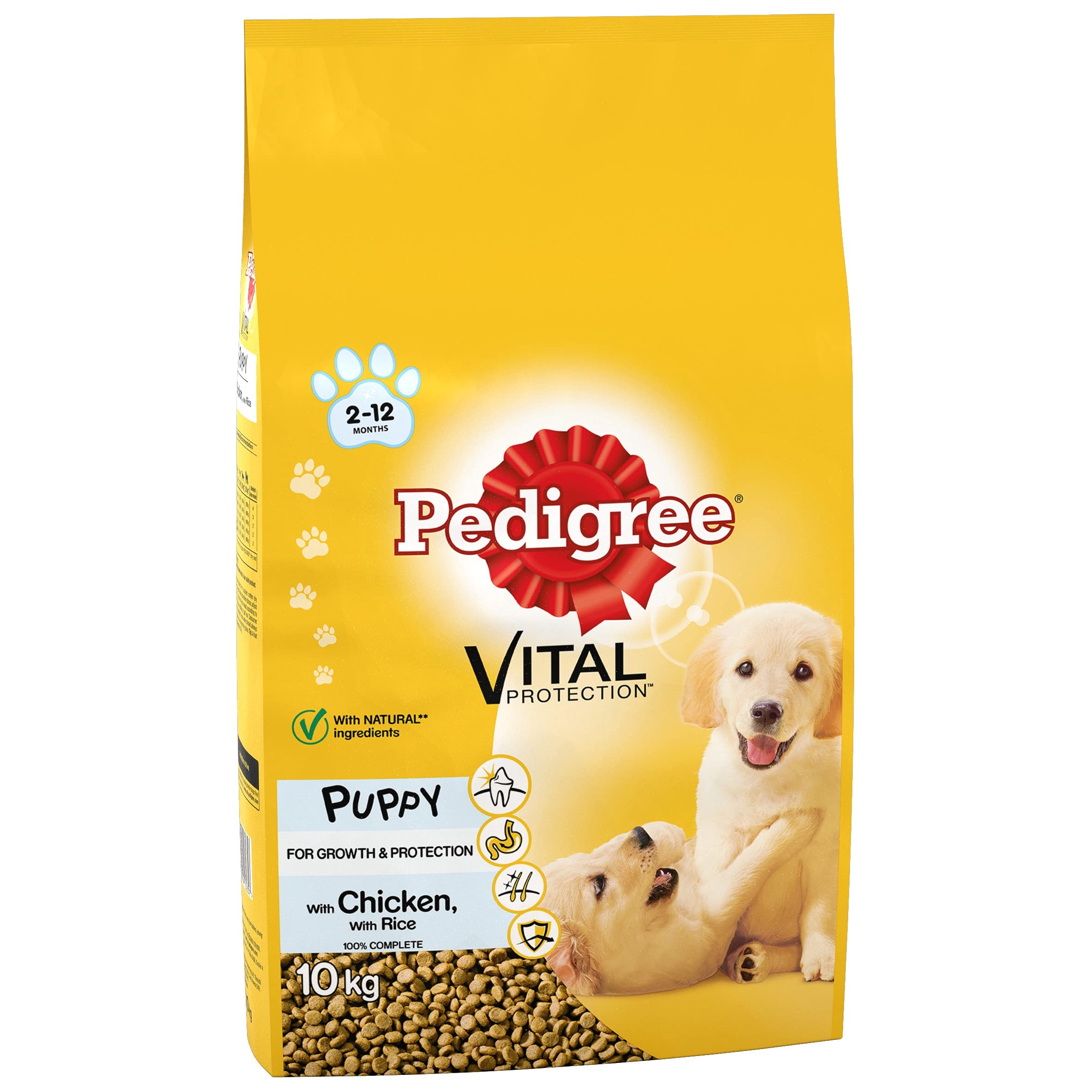junior pedigree
