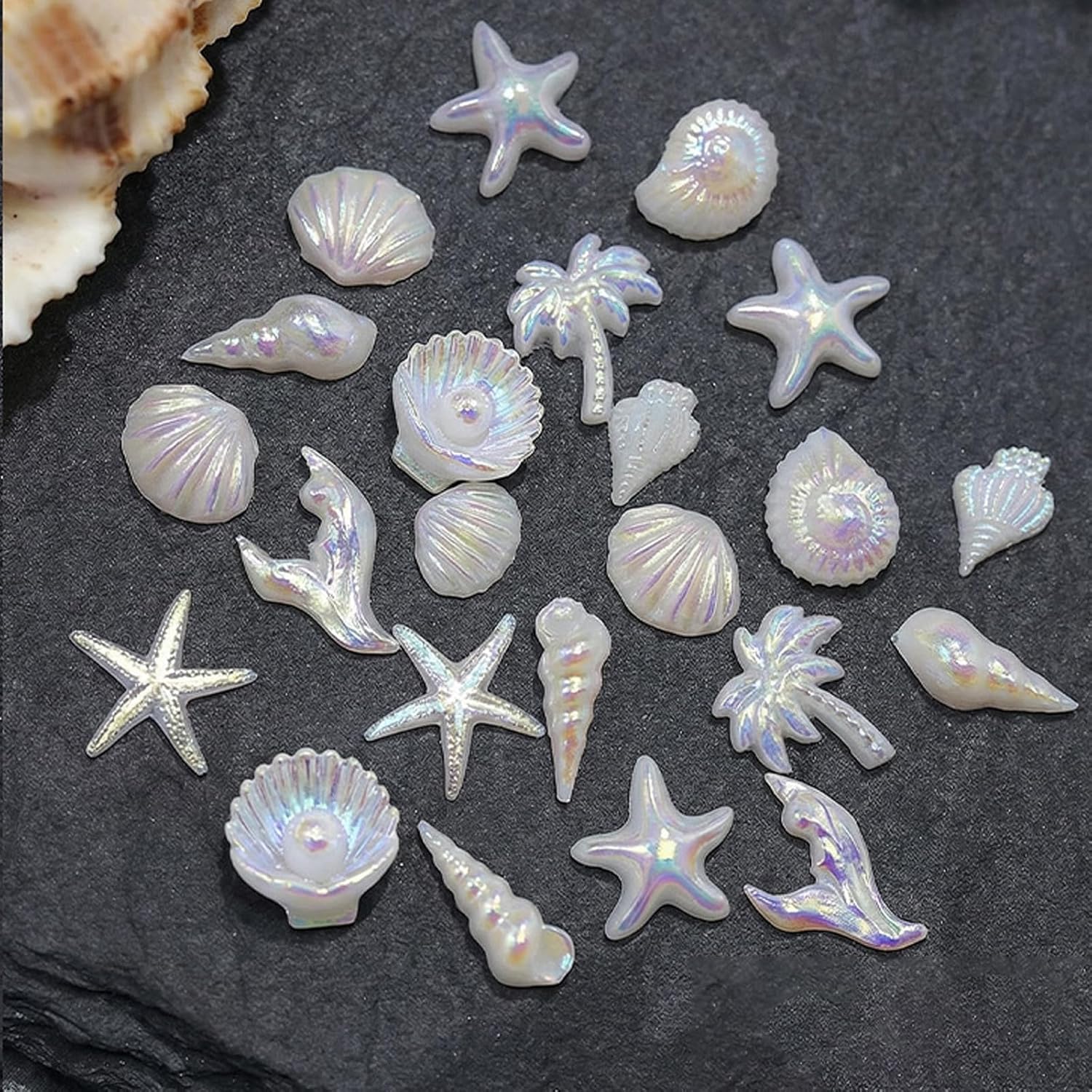 100Pcs Ocean Theme Nail Charms White Aurora Iridescent Resin Nail Decorations Starfish Seashell Conch Nail Gems for Acrylic Nails Gel Nails DIY Women Manicure Tips Supplies