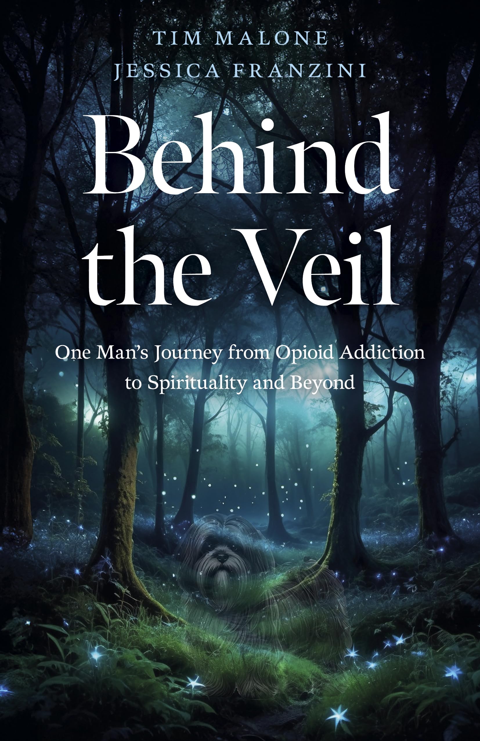 Behind the Veil: One Man's Journey from Opioid Addiction to Spirituality and Beyond