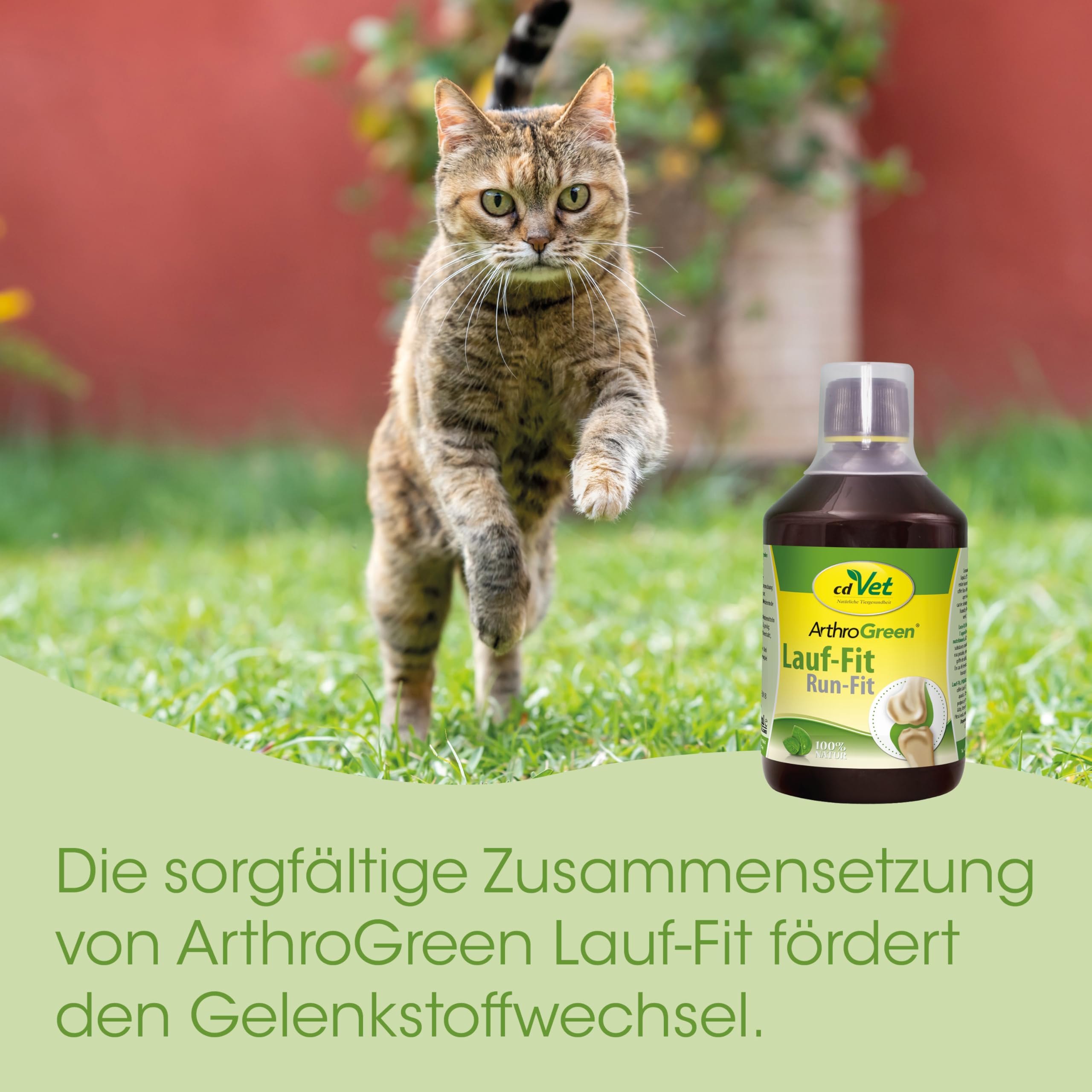 cdVet Naturprodukte ArthroGreen Lauf-Fit 500ml - Nahrungsergänzung zur Unterstützung der Gelenke für Pferd, Hund und Katze mit Kräutern