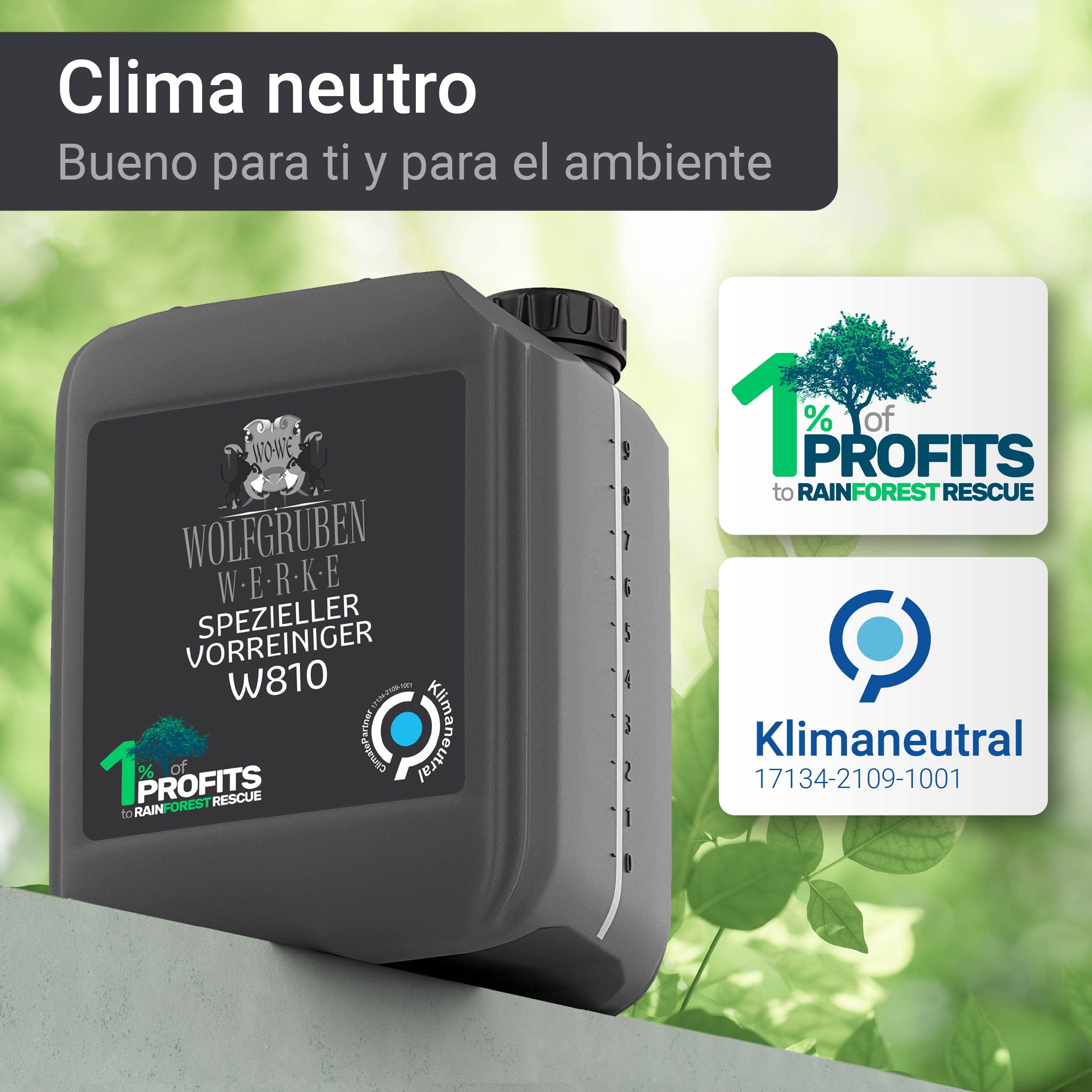 WO-WE Limpiador de hormigón cemento antes de aplicar pintura Prefiltro intenso W810-10L