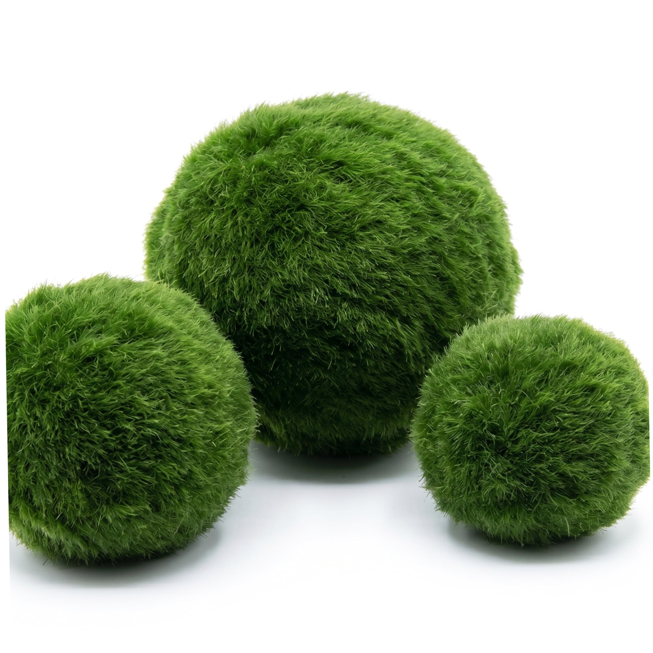 Ameble Live Marimo Moss Balls 3PCS for Aquarium Fish Tank & Terrarium Decor, Assorted Sizes 2.4-4cm, Natural Moss Ball Plant for Home Aquarium Decoration
