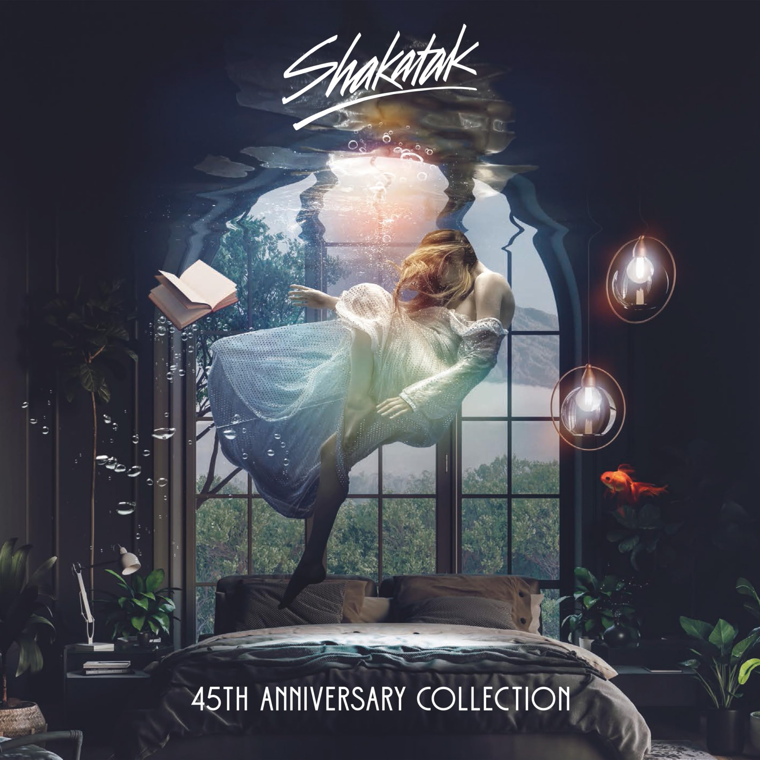 Amazon.co.jp: 45TH ANNIVERSARY COLLECTION (輸入盤): ミュージック