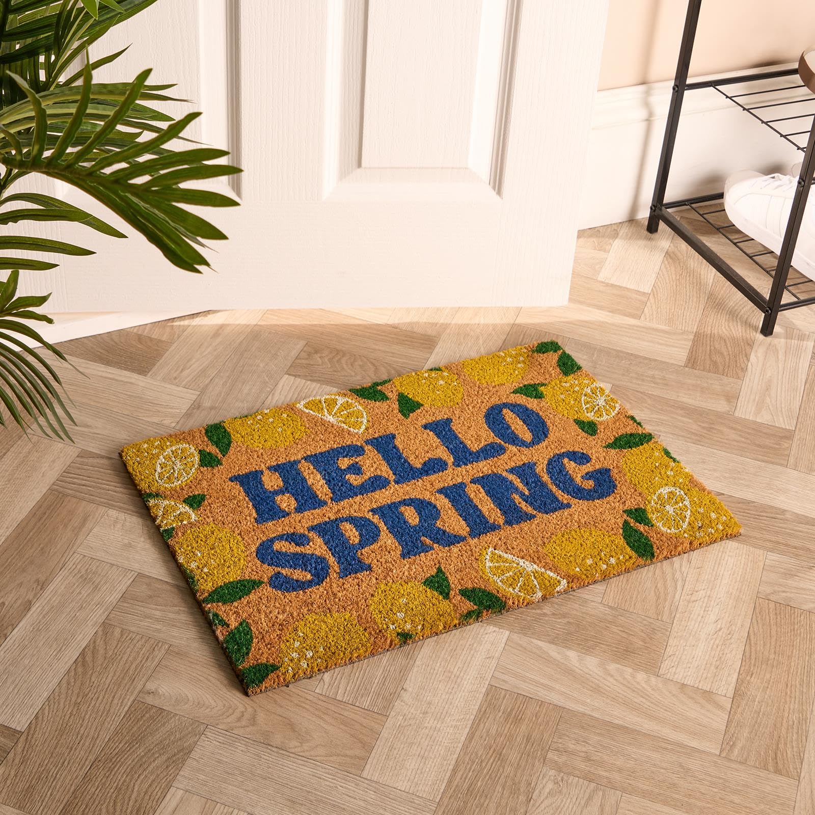 OHS Coir Door Mats Lemon Print, Washable Indoor Outdoor Door Mat Non Slip Stylish Dirt Trapper Doormats Heavy Duty Welcome Mat Front Doors Entrance Rug, Natural/Lemon - 40 x 60cm