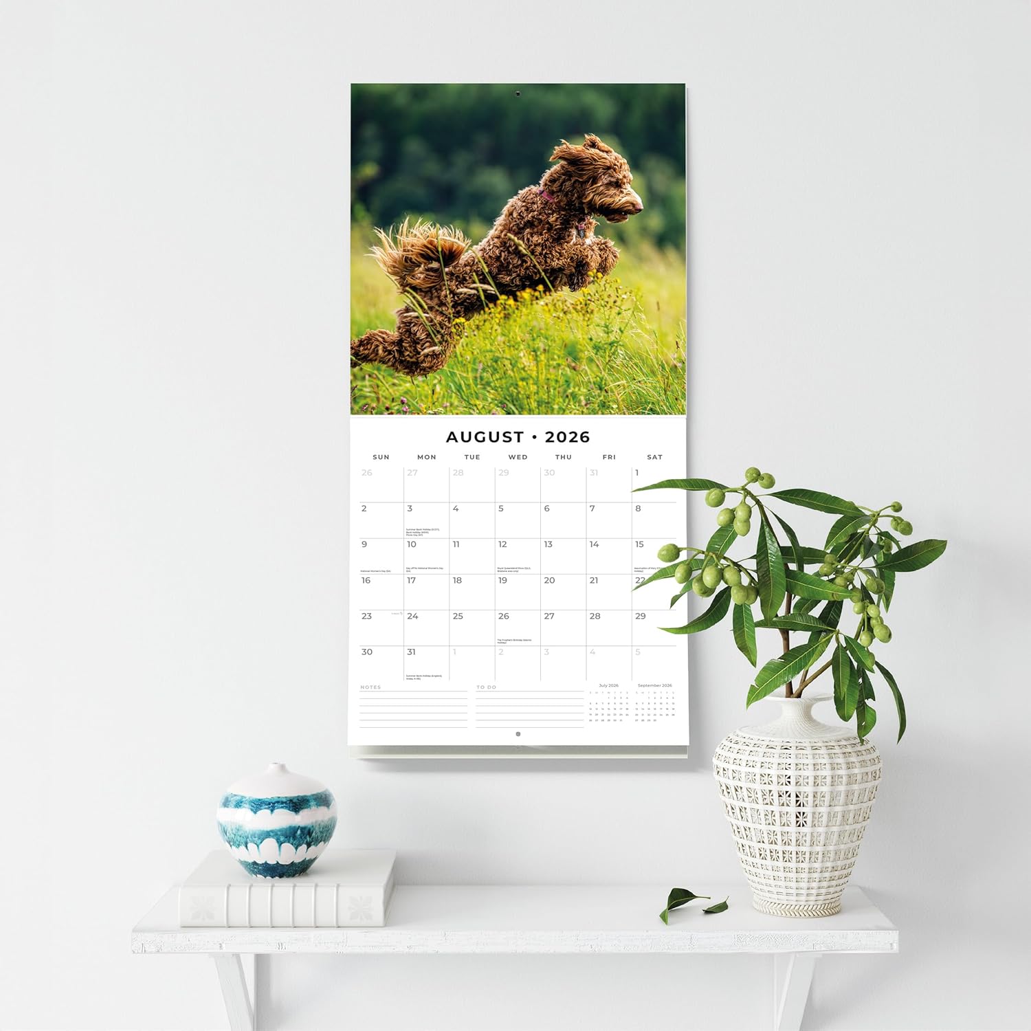 Red Robin 2026 Labradoodles Monthly Wall Calendar | 12" x 24" Open | Premium Thick & Sturdy Paper | Hangable 12 Month Calendar | Lined Notes & To Do Area | Vivid Images | Plastic Free - Image 5