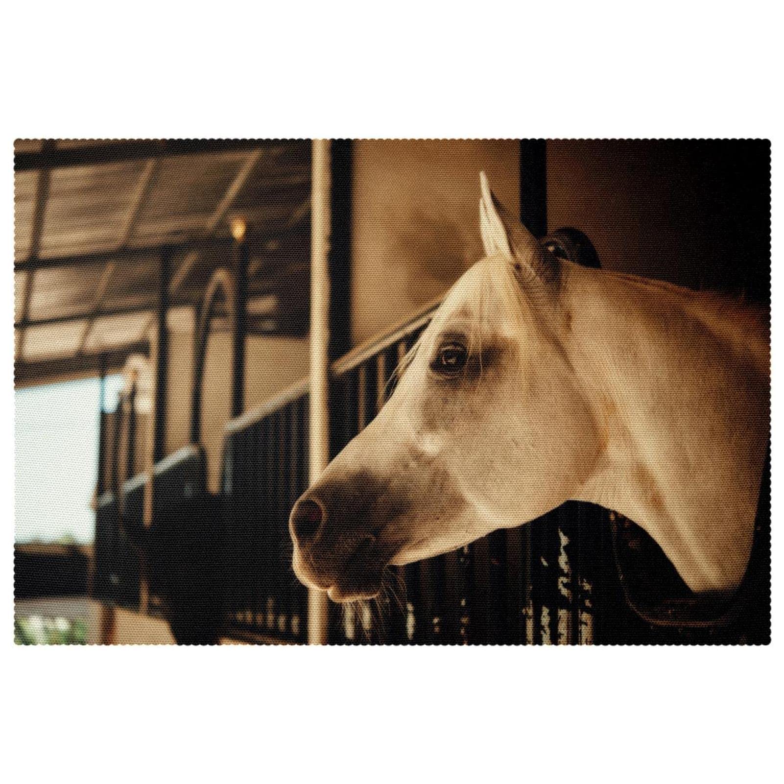Set de table cheval pour stopper les rayures et les brûlures de vaisselle