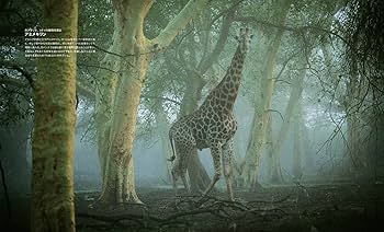 野生動物 ナショナルジオグラフィック/日経ナショナルジオグラフィック社/ヴァレリア・マンフェルト・デ・ファビアニ（単行本） 新説・恐竜 塗り替えられたその姿と生態 (ナショナル ジオ