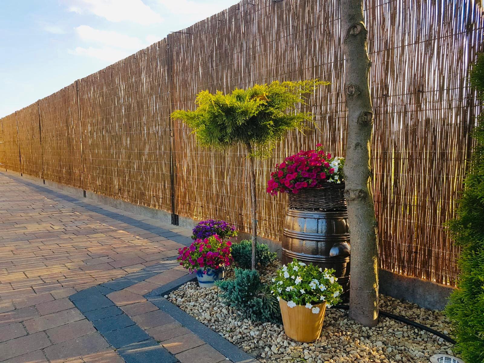 H4L Canisse en osier - Brise-vue pour clôture et balcon - Protection contre le vent - Canisse de protection 110 cm x 5 m