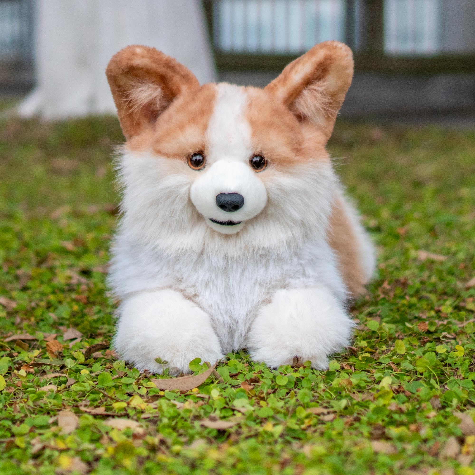 Amazon.co.jp: Chongker ぬいぐるみ ぬいぐるみ - リアルな動物 犬の