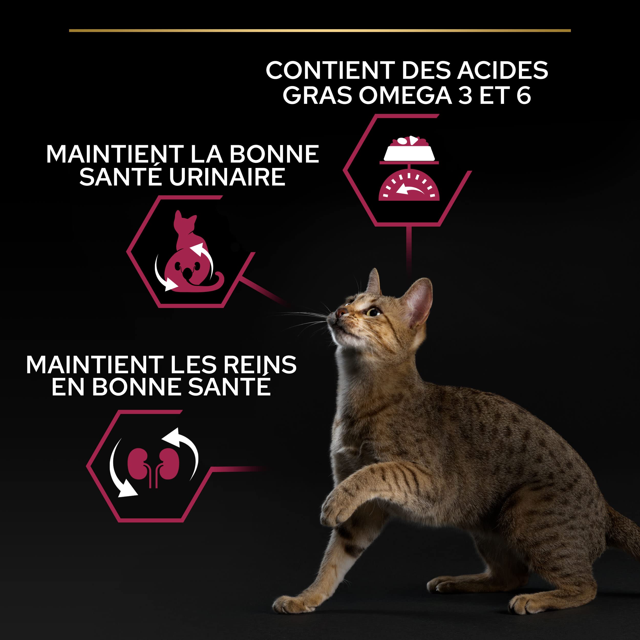 PRO PLAN Sterilised Adult Savury Duo Cabillaud y Trucha 3 kg | Croquetas Gato Esterilizado Sabor Cabillaud y Trucha - Alto contenido de proteínas, bienestar urinario - Salud del Gato