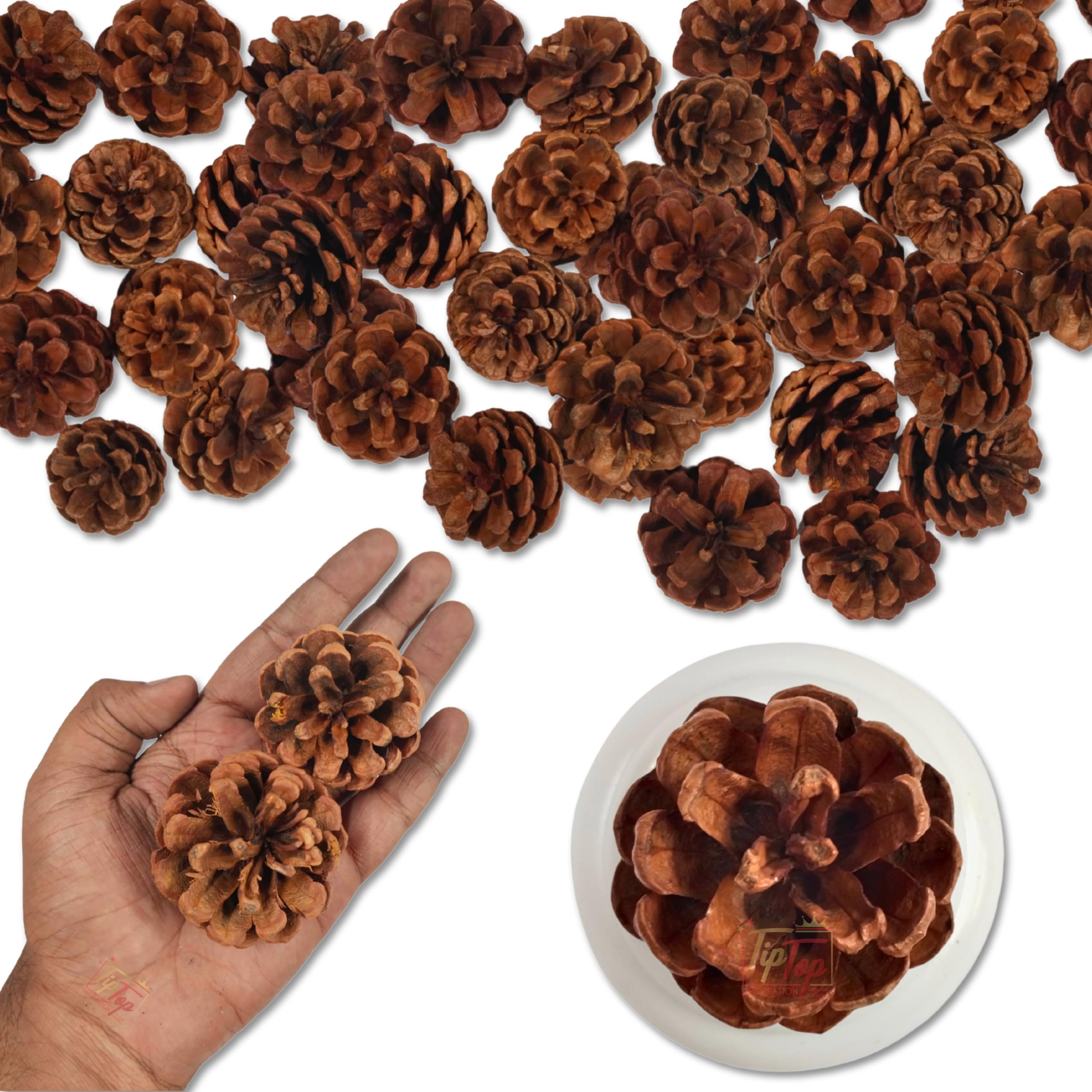 TIPTOP DECORATION Premium 10 pcs Natural Wooden Pine Cone Flowers (Authentic) (Medium 5 cm, Natural Brown)-image-32