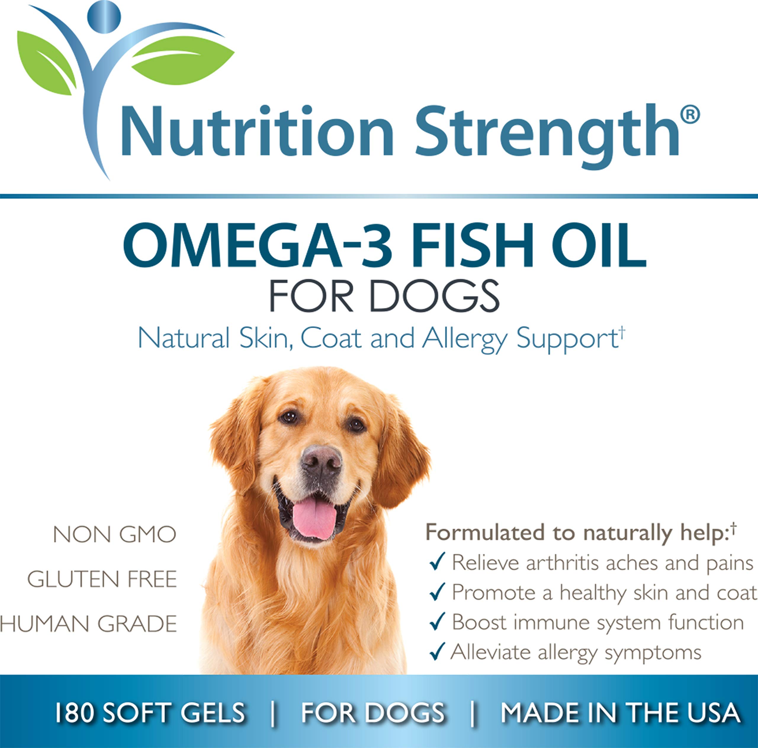 Does Fish Oil Help Dogs With Arthritis