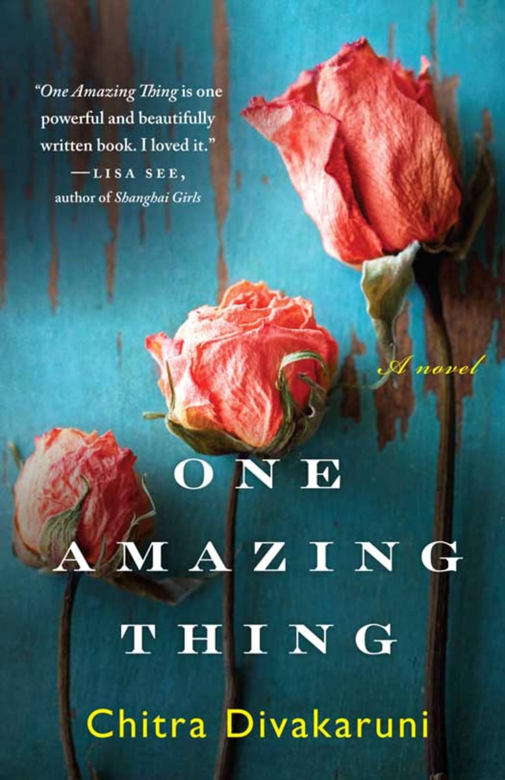 Hachette Books One Amazing Thing