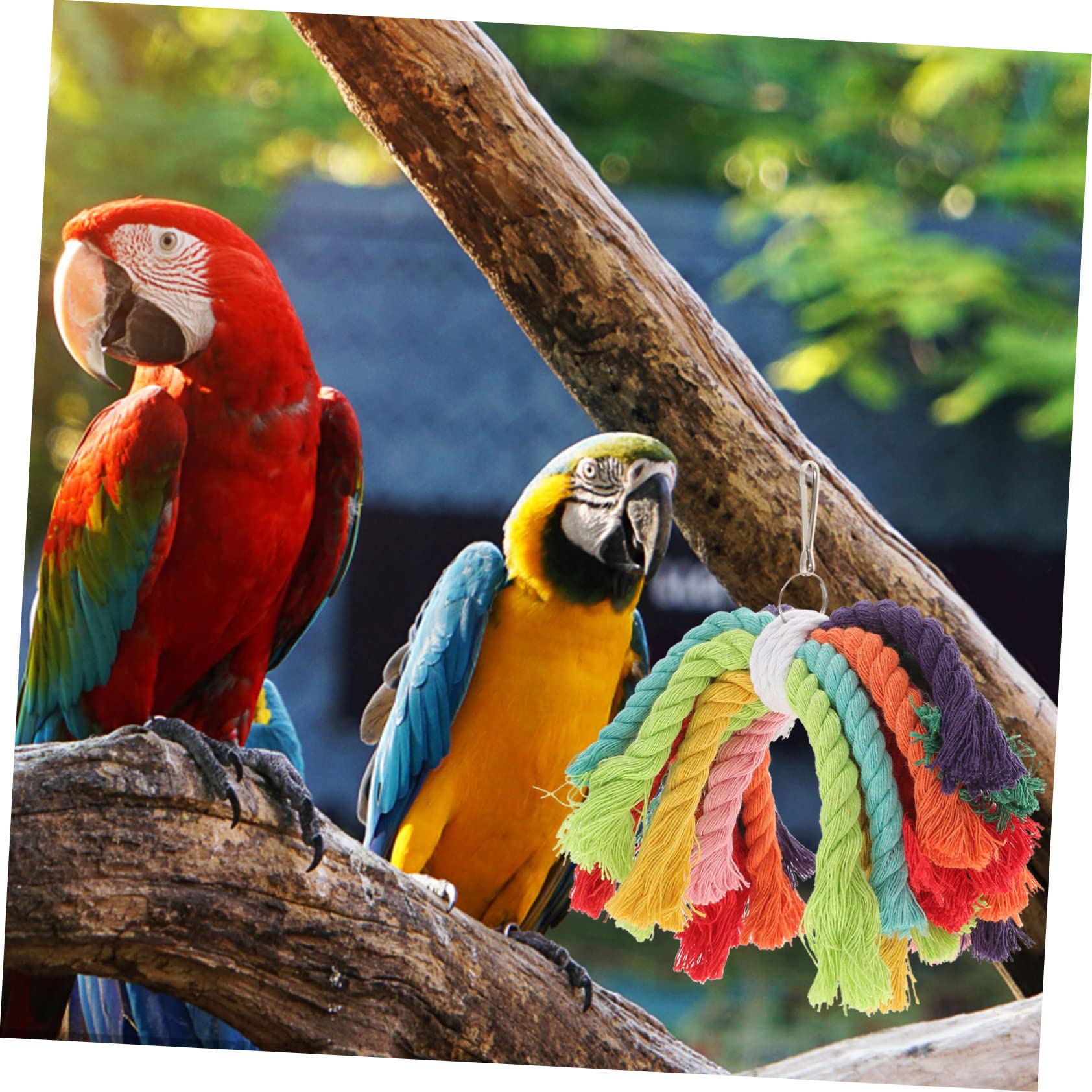 minkissy 5piezas Juguete De Masticar para Aves y Cuerda De Algodón Resistente para Periquitos Agapornis y Aves Juguete Colgante para Aburrimiento
