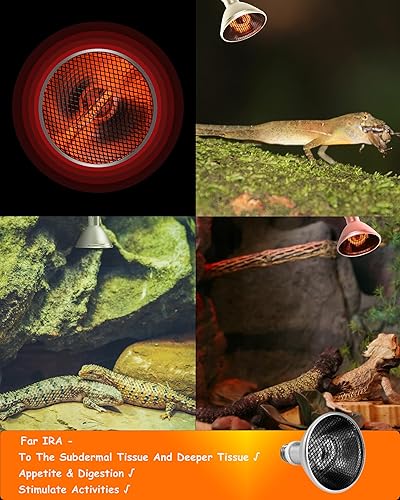 Miniatura 5 de Proyector de calor profundo Reptil 130W infrarrojo reptil lámpara calor bombillas reptil luz