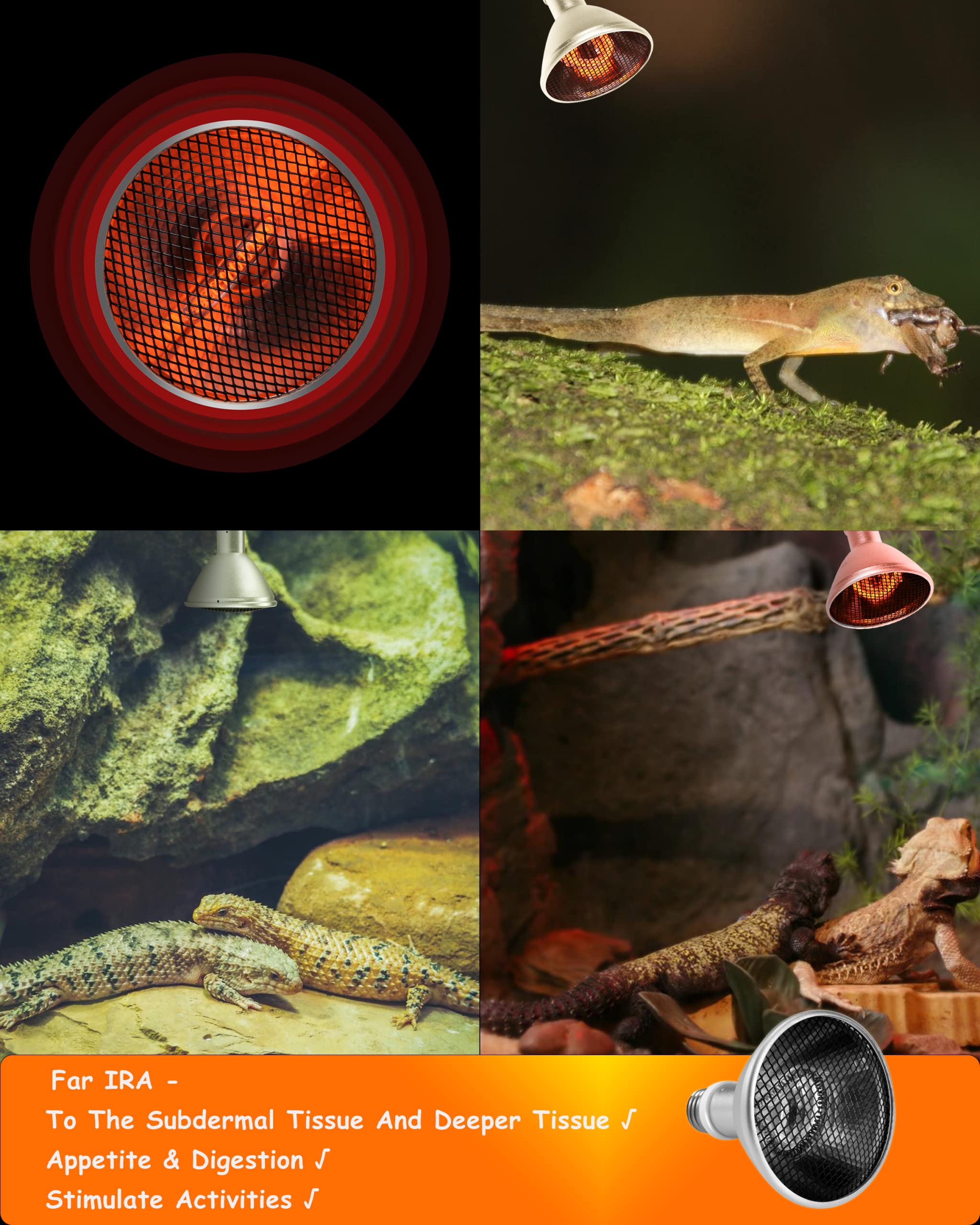 Deep Heat Projector - DHP 130W Infrared Reptile Heat Lamp Bulbs for Turtle Light Bearded Dragon Chicken Lizard Leopard Gecko Snake - image 5