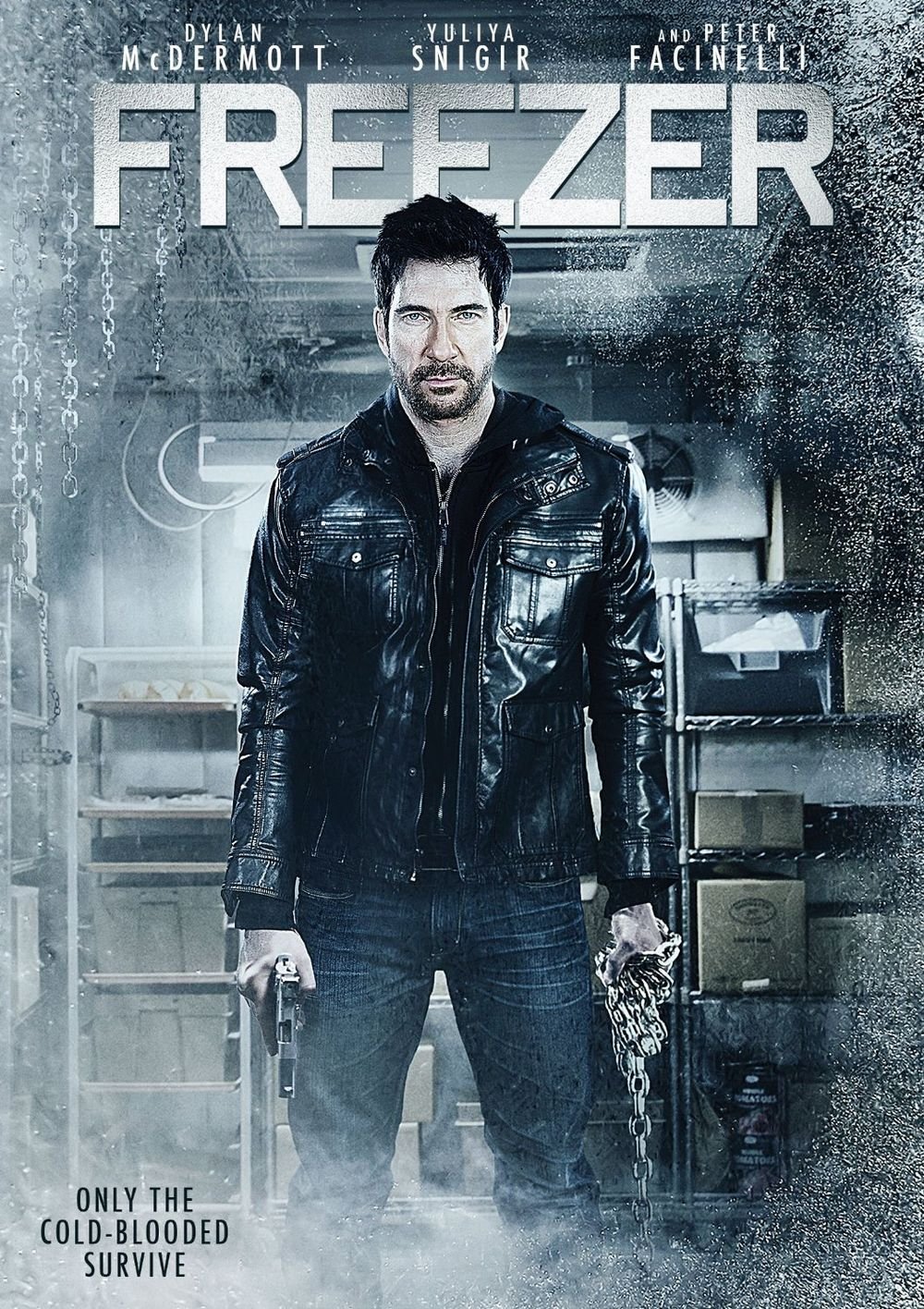 Evita el streaming y colecciona Freezer DVD edición USA sin cortes de red