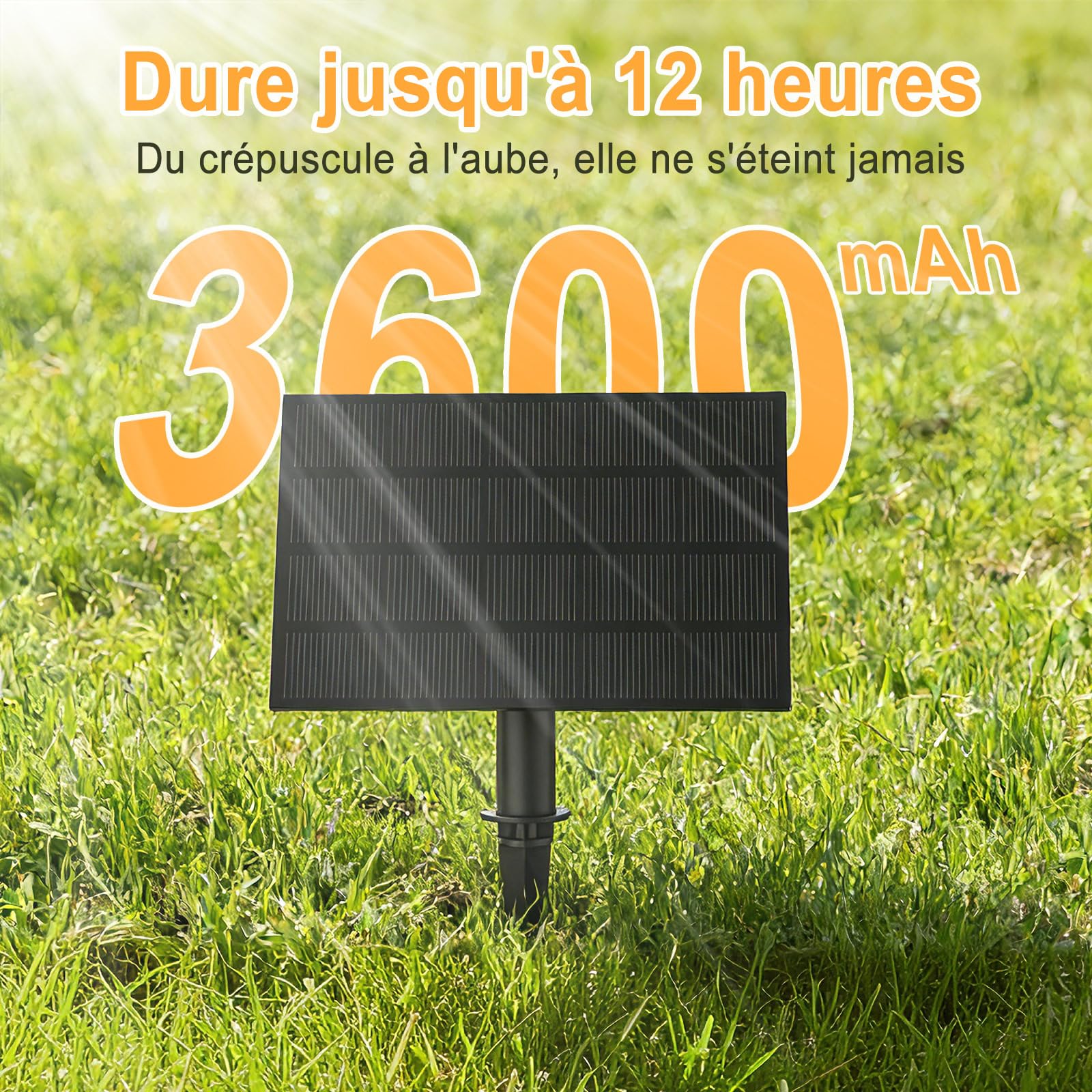 Guirlande Solaire Exterieur, 30M/99ft Guirlande Lumineuse Solaire avec 50+3 G40 Ampoules, 4 Modes Étanche IP45 Guirlande Guinguette Extérieur pour Jardin Terrasse Noël Mariage Fête