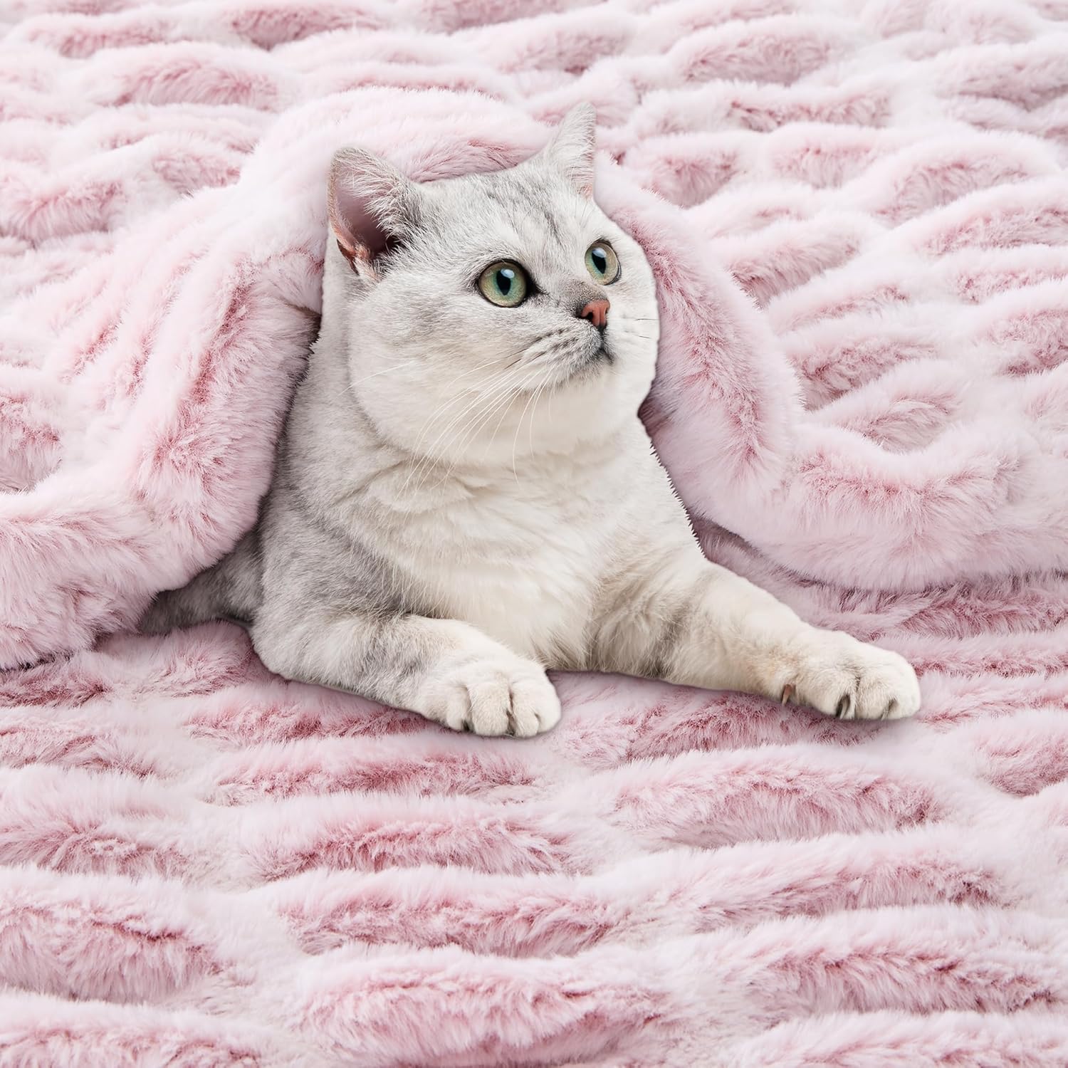 Viviland Faux Fur Throw Blanket for Bed Couch Sofa - Soft Cozy Furry Warm Throw - Comfy Shaggy Blanket - Machine Washable - Light Pink Fuzzy Plush Twin - 60"× 80"