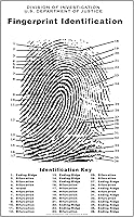 Vista 1 de Crime Scene Tabla de huellas dactilares, tamaño del póster 24 x 36 pulgadas