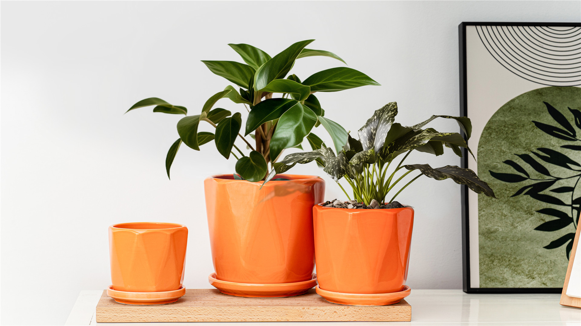 鉢・プランター BOTANIZE PLA POT ORANGE SQUARE 2pcs Amazon.com: Sin wings Ceramic Plant Pots, 6.7 + 5.3 + 3.9