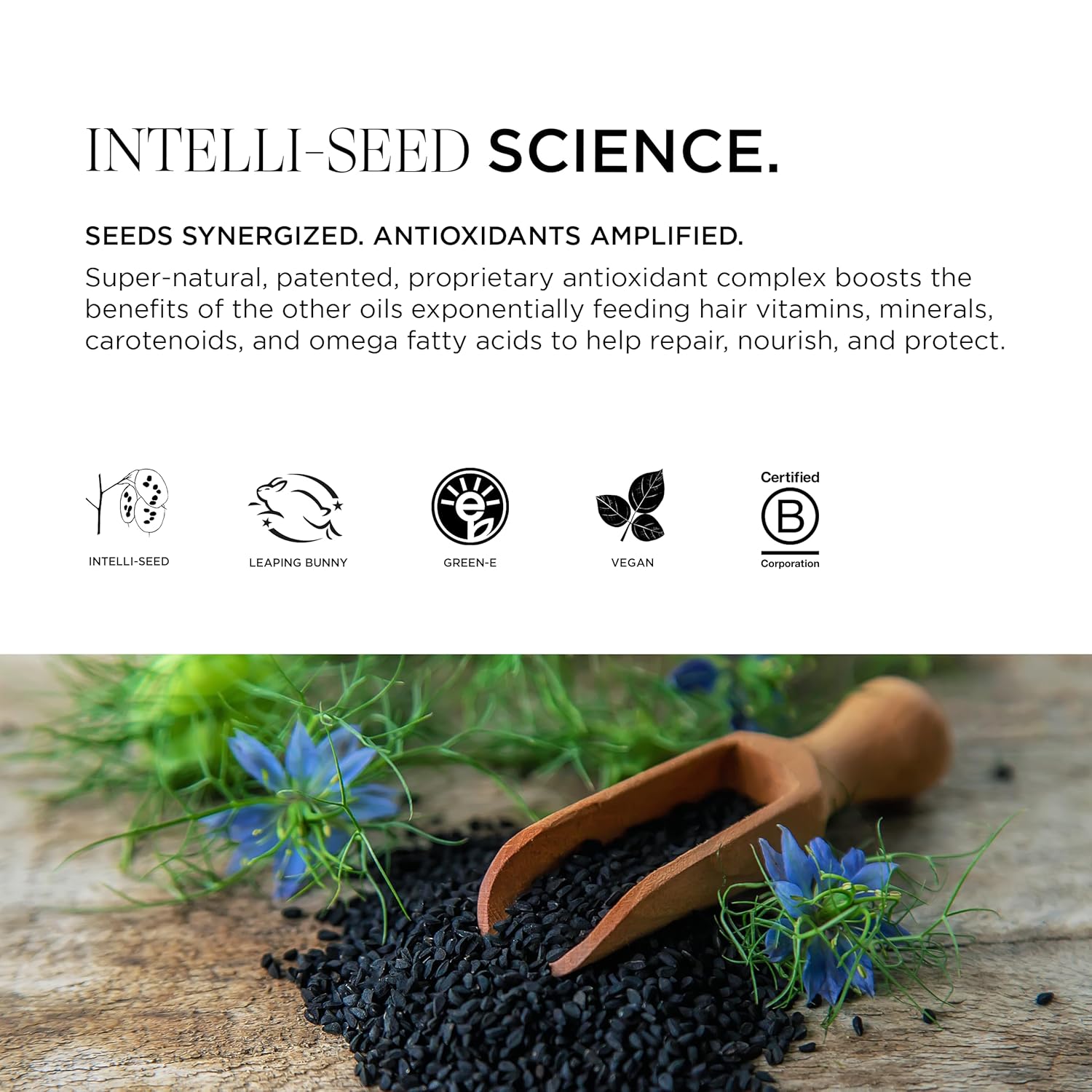 InspiraMint Conditioner, Invigorating Organic Mint Conditioner for Fine and Oily Hair with Peppermint Oil, Hydrating, Refreshing, Vegan, 8 Fl Oz