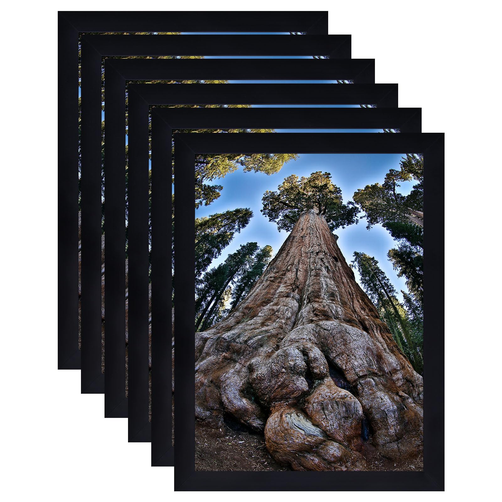 Photo 1 of [MINOR DAMAGE] YYTRABAJO 5x7 Picture Frame Black Photo Frames Display with 4x6 Mat for Wall and Tabletop, Set of 6