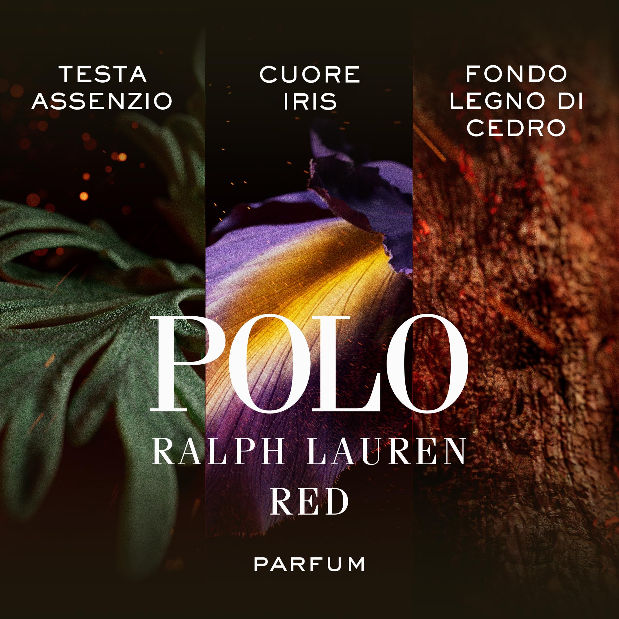 Ralph Lauren Polo Red Parfum Uomo, Profumo Uomo Ambrato e Legnoso, Fragranza Intensa e Avvolgente, Note di Legno di Cedro, Assenzio e Iris, A Lunga Durata, Profumo Maschile di Lusso