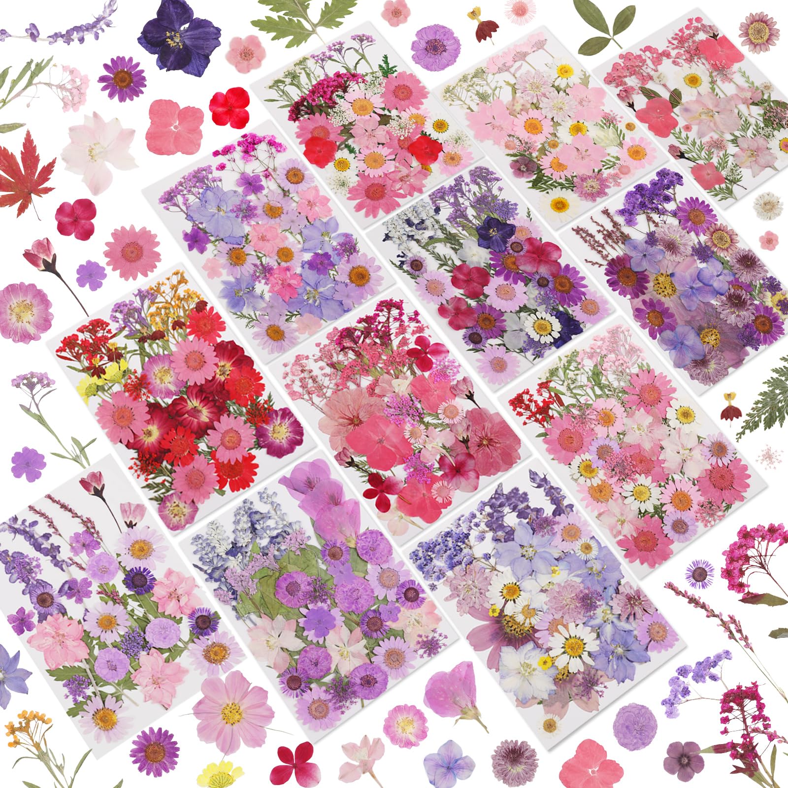 412 Pcs Dried Flowers for Crafts,Real Nature Dried Flowers for Resin
