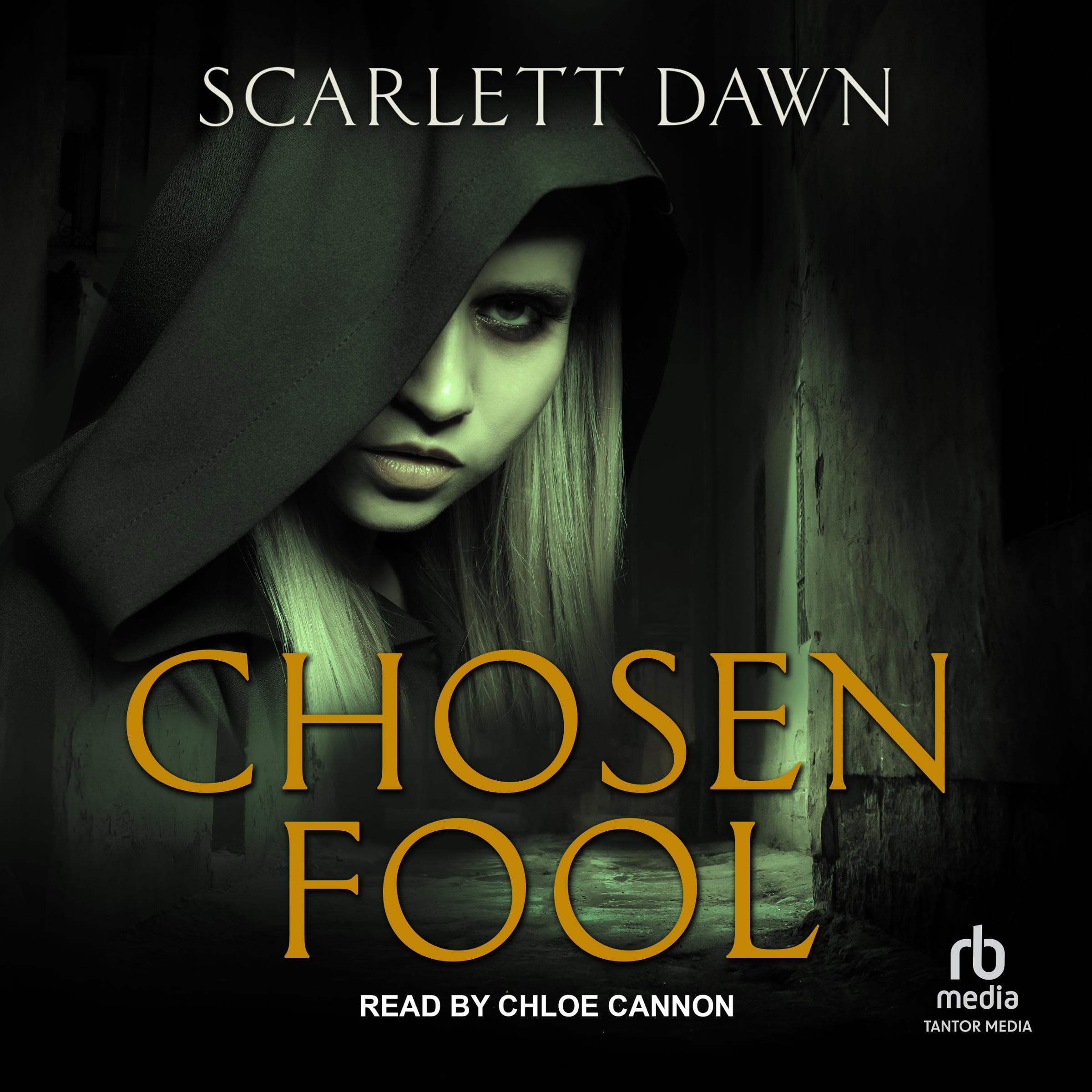 Cover art for Chosen Fool