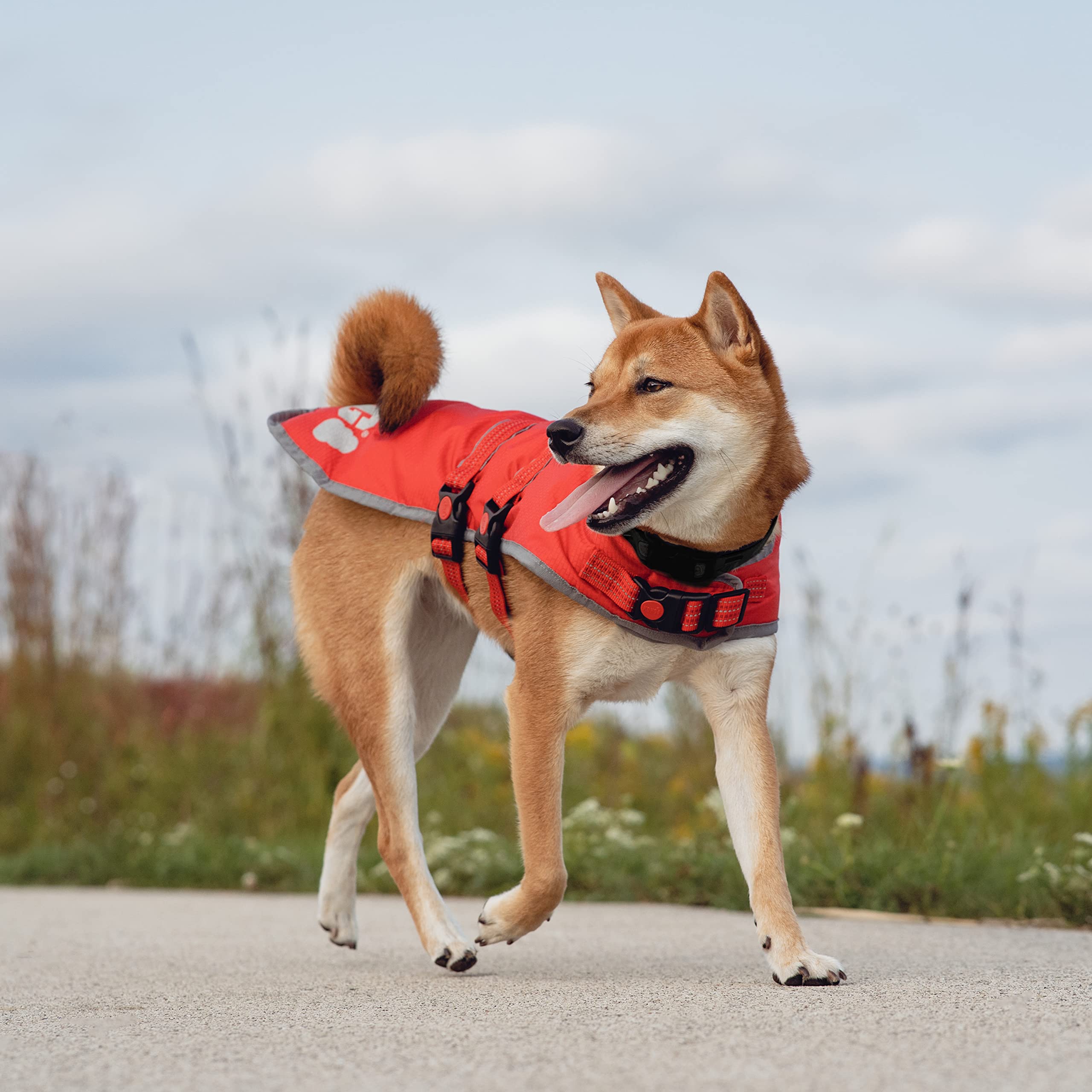 KONG Red Rip-Stop Blanket Coat for Dogs