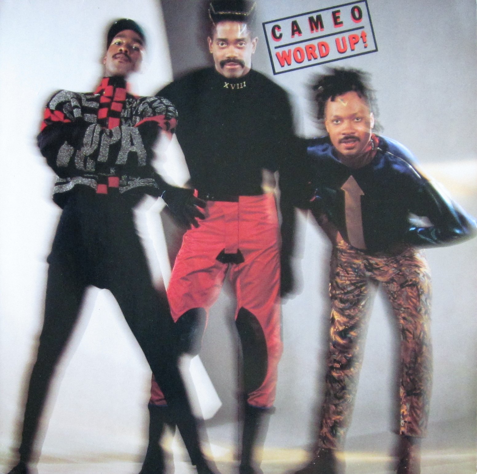 Amazon.com: Word Up! Cameo