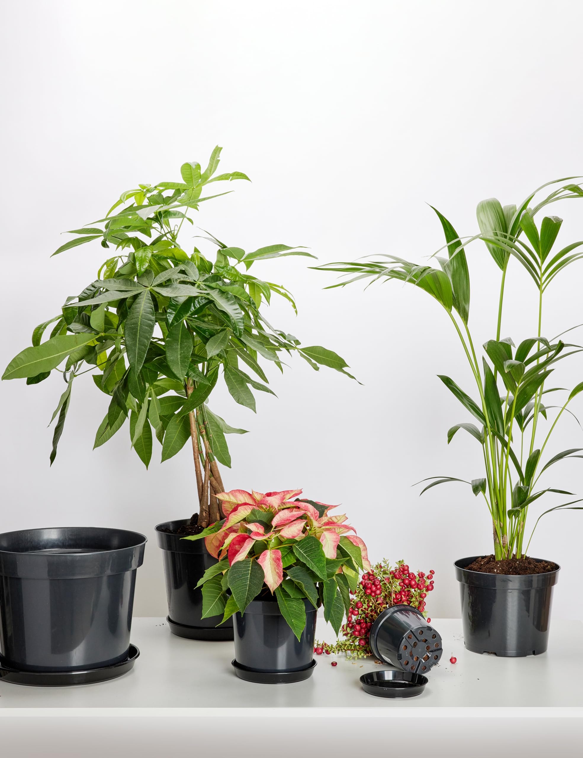 Garronda Platos para Macetas de Producción Redondas 1 Unidad Pack de 5 o Pack de 10 GD-0026 (10 Piezas - Terracota, ⌀ 40cm H=5,2cm)