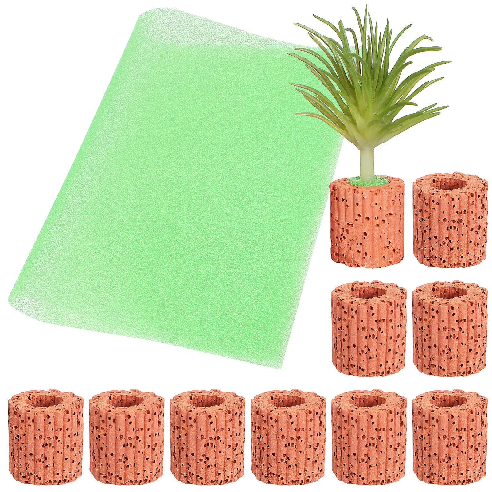 水生植物固定リング 水槽オーナメント おもり スポンジ付き 10個セット Amazon.co.jp: iplusmile 10個セット 水生植物固定リング 水槽