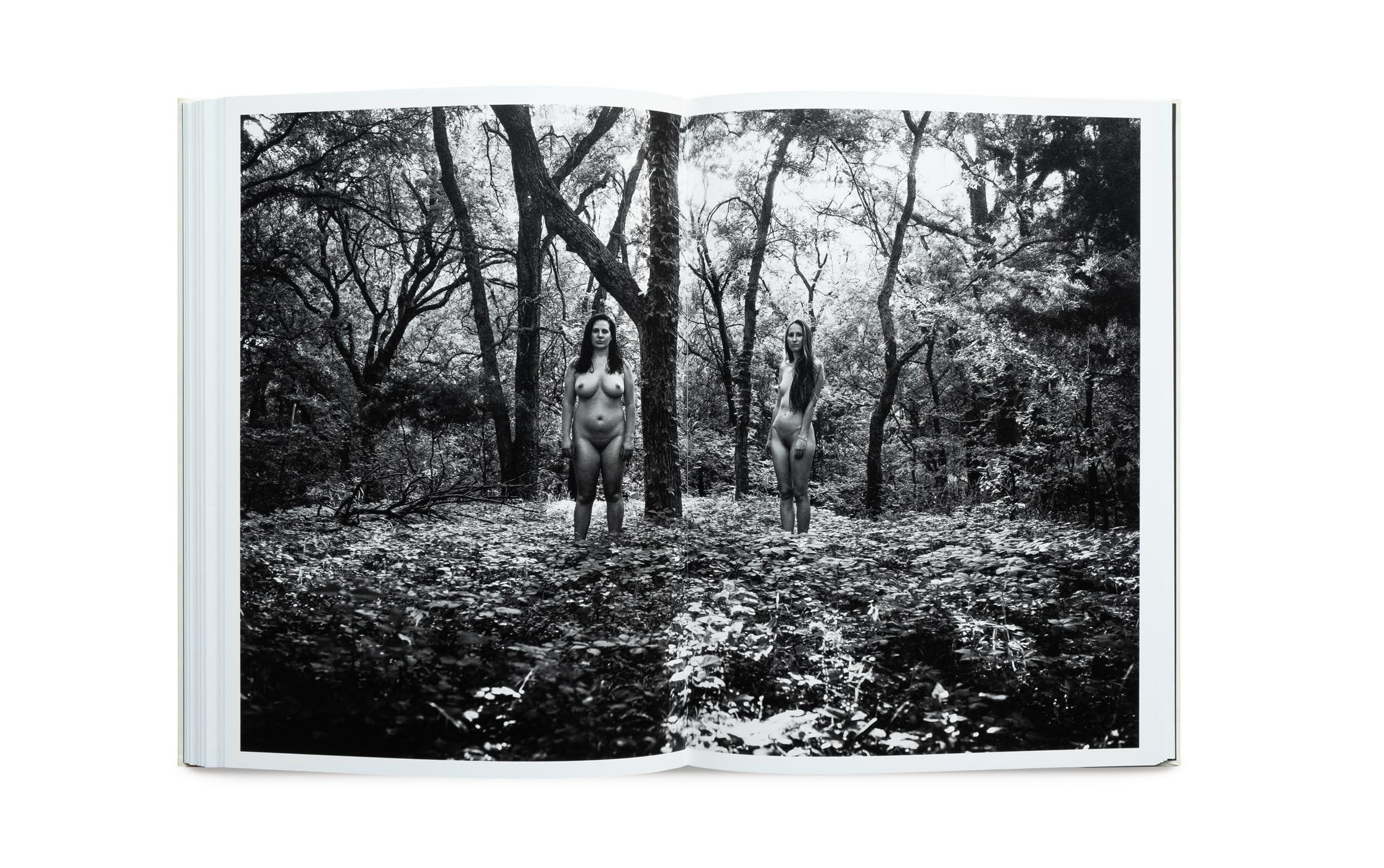 Richard Sharum: Spina Americana