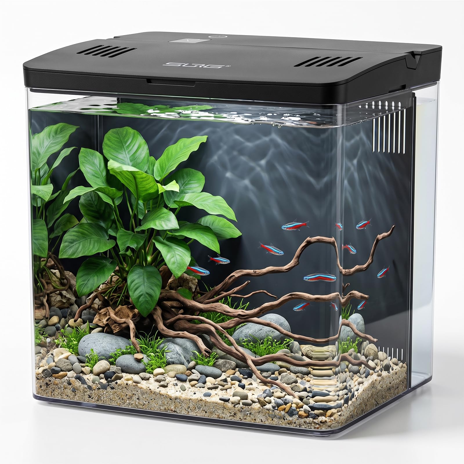 4.5L Fish Tank Starter Kit for Betta Fish, Acrylic Aquarium with LED Light & Built-in Rear Filter, Small Desktop Fish Tank for Shrimp & Small Aquatic Creatures Creatures (Black, 20cmx14cmx20cm)