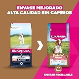 Ver la foto 2