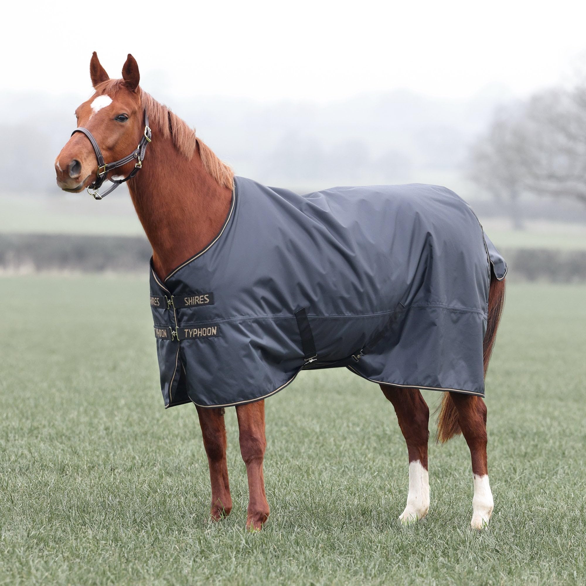 Shires Typhoon 50 Pony/Horse Lightweight Turnout Rug - Black