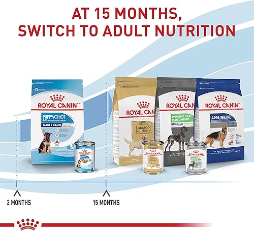 Miniatura 6 de Royal Canin Size Health Nutrition Alimento seco para perros grandes para cachorros, bolsa de 17 libras