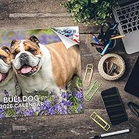 Vista 917 de Razas de Perros 2017