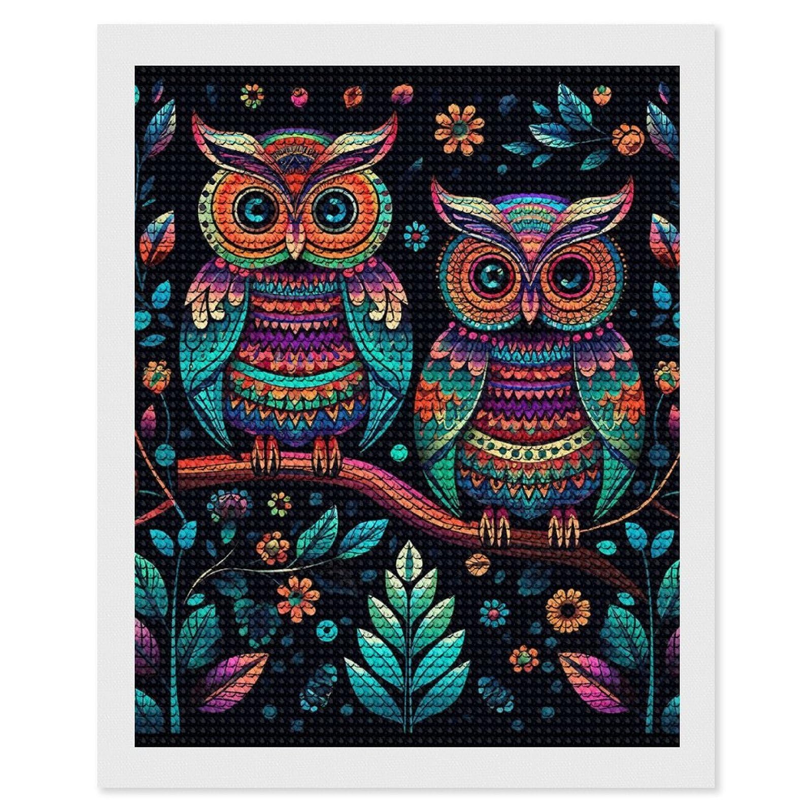 Colorful Owl Pictures Diamond Art Kits for Adults, DIY 5D Diamonds Painting Kits for Beginner, Round Full Drill Diamond Dots Painting, Diamonds Pictures Gem Art and Crafts Wall Decor 16"x20"