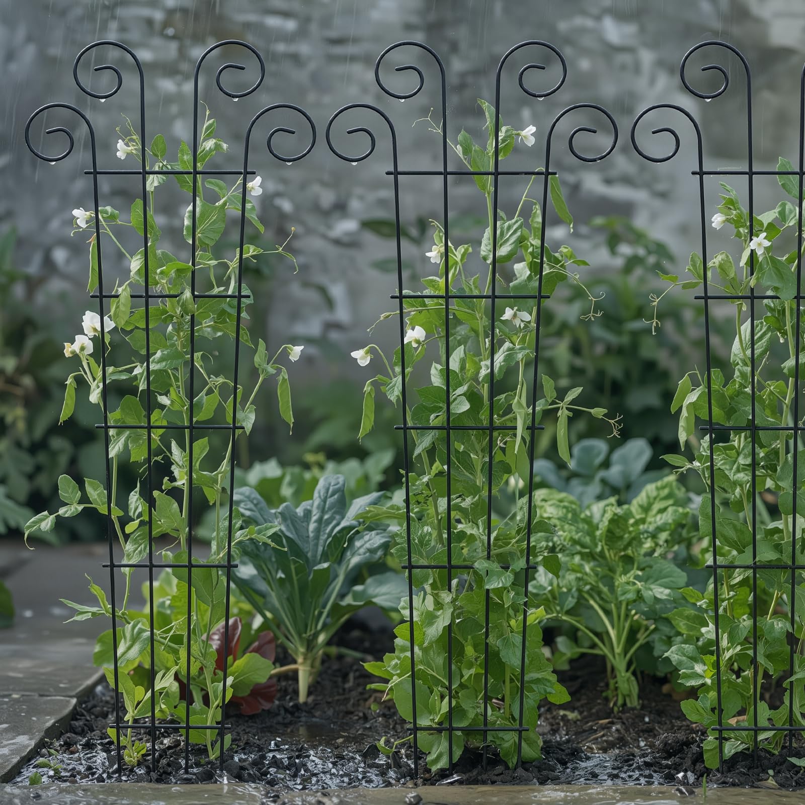 Thealyn 4er-Pack 81cm/32 Zoll Innenpflanzenspalier für kletternde Topfpflanzen, Outdoor-Metall-Gartenspalier für Zimmerpflanzen, Blumen, Weinreben, ivy Wellenform, Schwarz