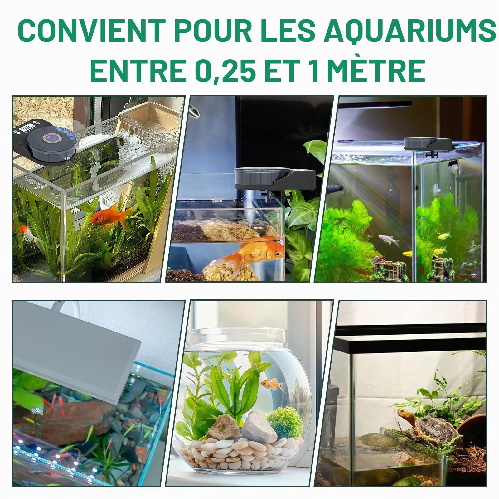 60 ML mangeoire Automatique pour Poissons d'aquarium, Distributeur Automatique de Nourriture avec minuterie, mangeoire Rechargeable avec câble USB, écran LCD