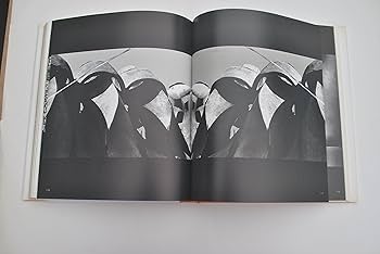 Gaudi: The Visionary: Descharnes, Robert, Prevost, Clovis