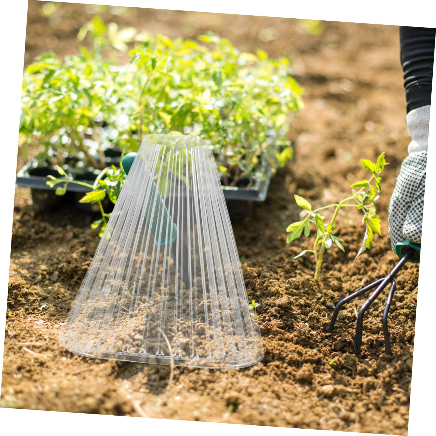 Cloche Conique pour Plantes 10 Pièces Pet, Protection Semis et Ombrage